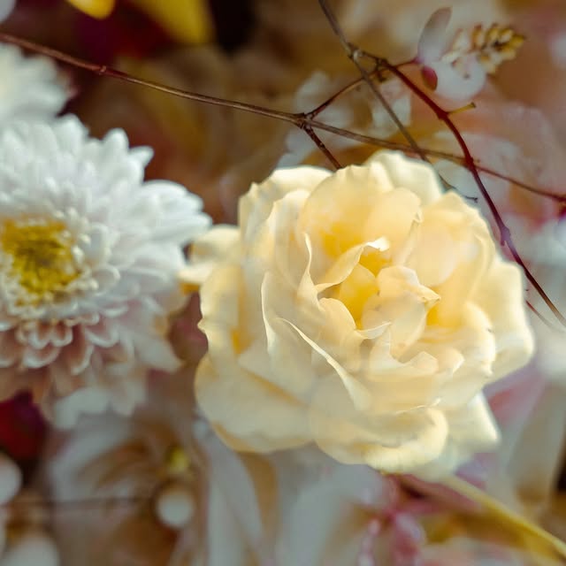 Post by hannnasofiaa