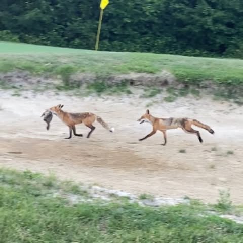 Post by natureismetal