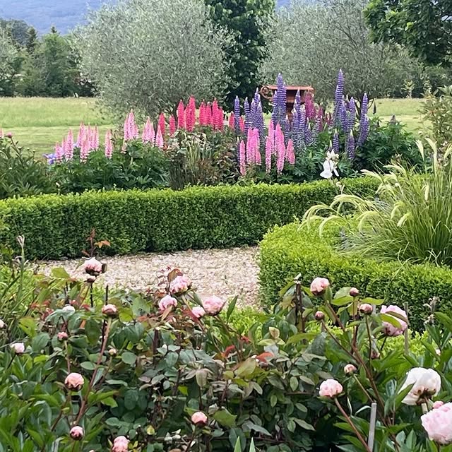 Post by hedge.garden.design.nursery