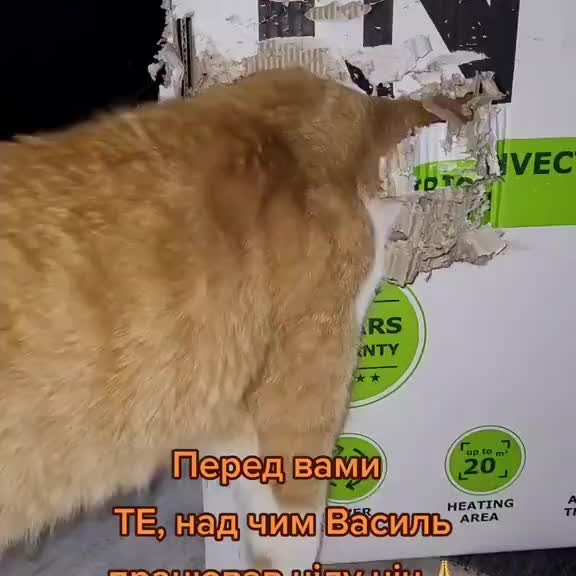 Post by animals_humor_ua