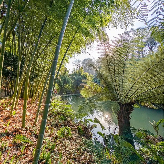 Post by trebahgardencornwall