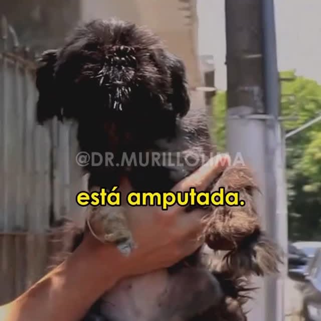 Post by dr.murillolima