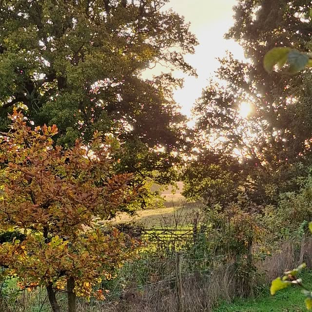 Post by troyscottsmith1