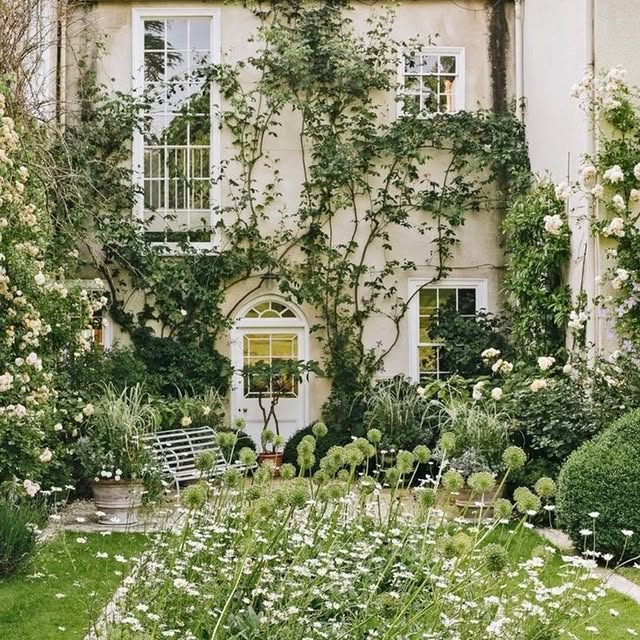 Post by hedge.garden.design.nursery