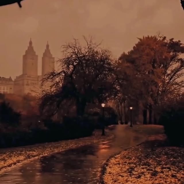 Post by gramophone.rhythm