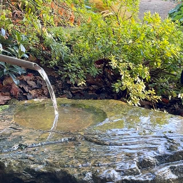 Post by acreswildgardendesign