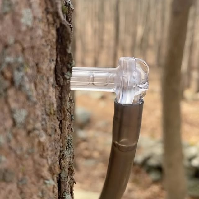 Post by laurelandashfarm