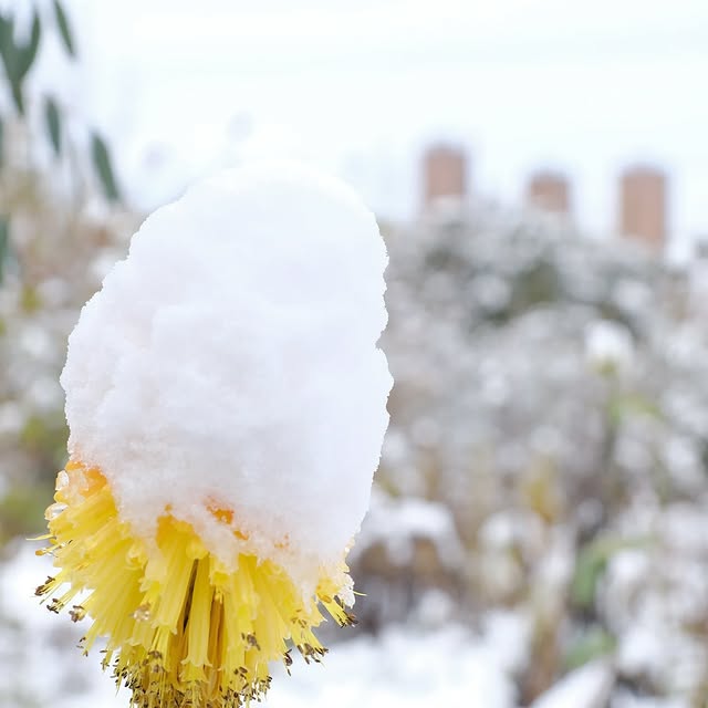 Post by arcadia_landscape_design