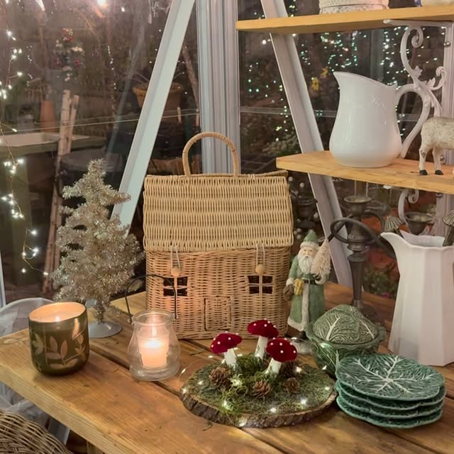 Post by rootedinthyme