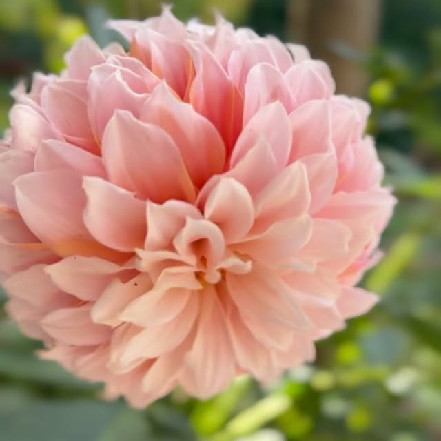 Post by depeppelstuinontwerp