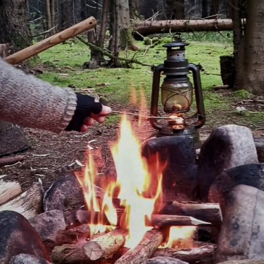 Post by 5000dennis_nature