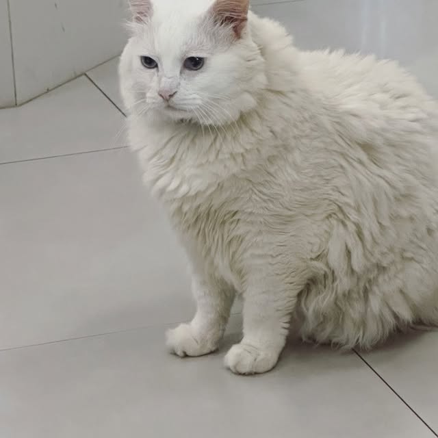 Post by daily.pardinni