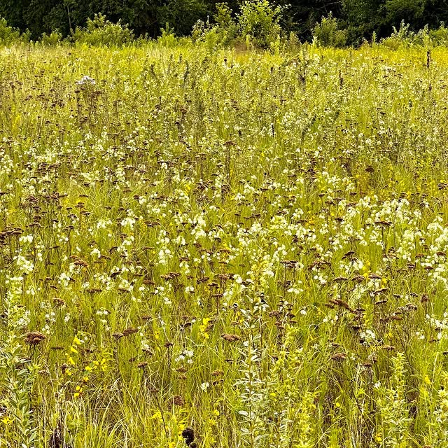 Post by kellydnorris