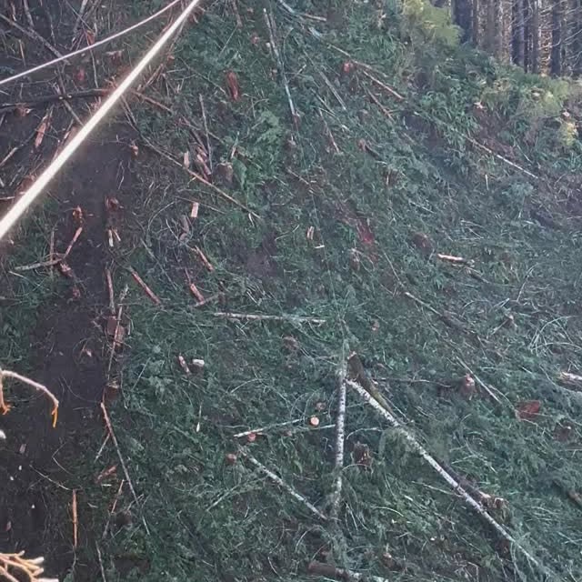 Post by coast_cutter