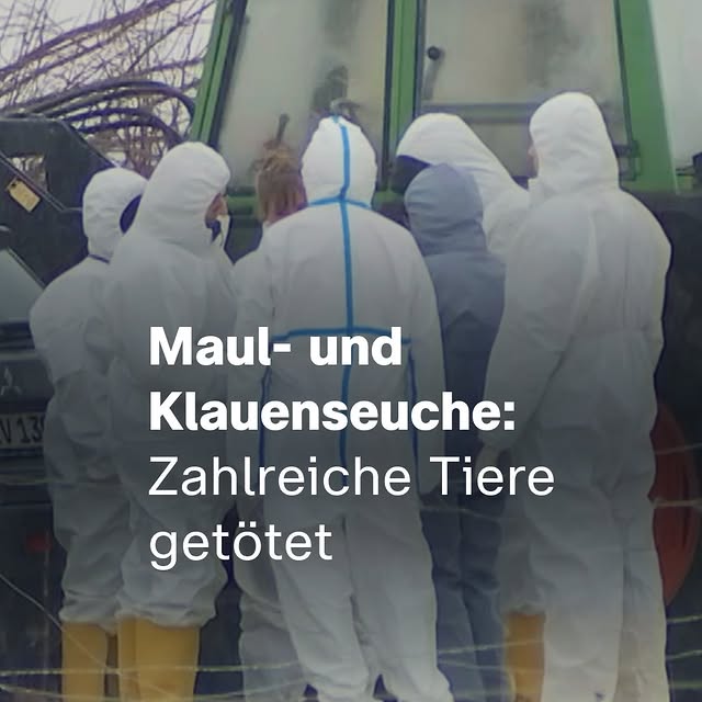 Post by zdfheute