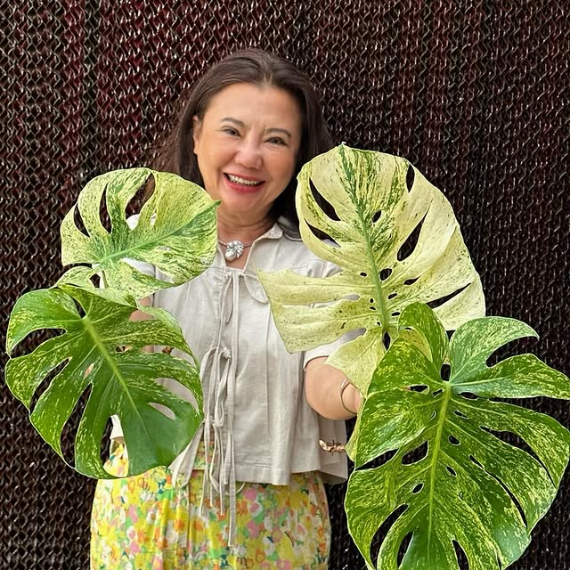 Post by mama.treehouse