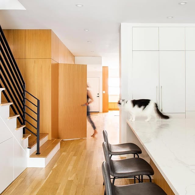 Post by basicspacedesigns