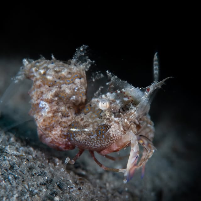 Post by michaels_bubbles