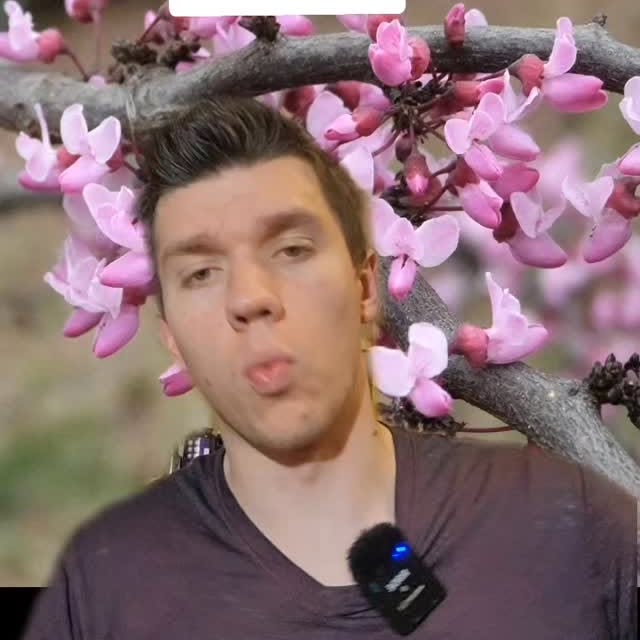 Post by nathandickeson