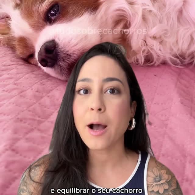 Post by tudosobrecachorros