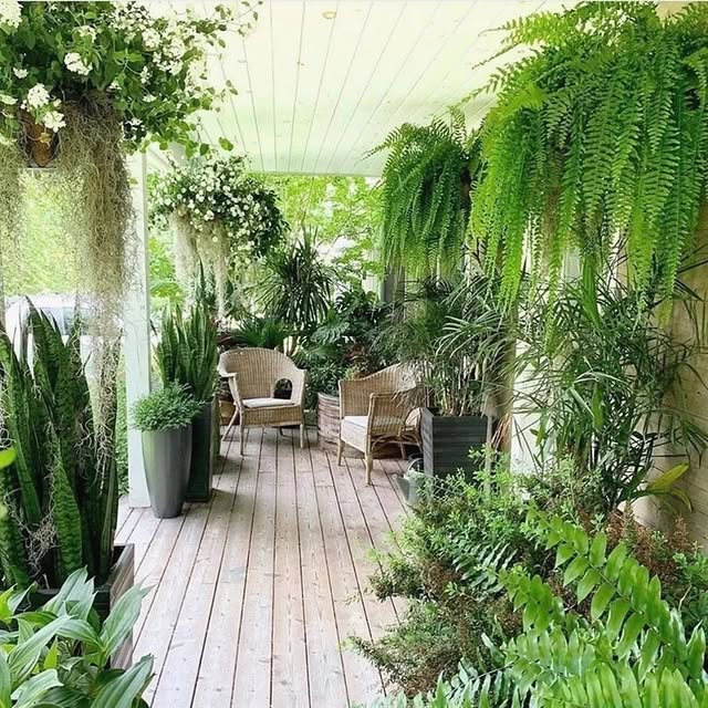 Post by gardening.paeet