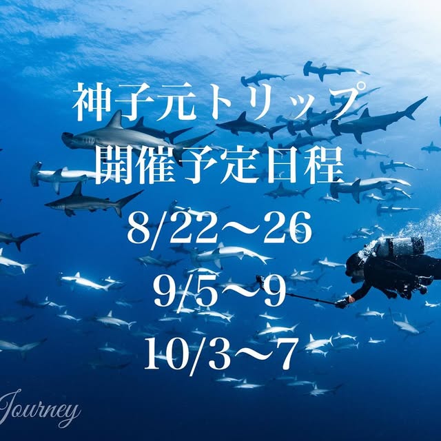 Post by dive_journey