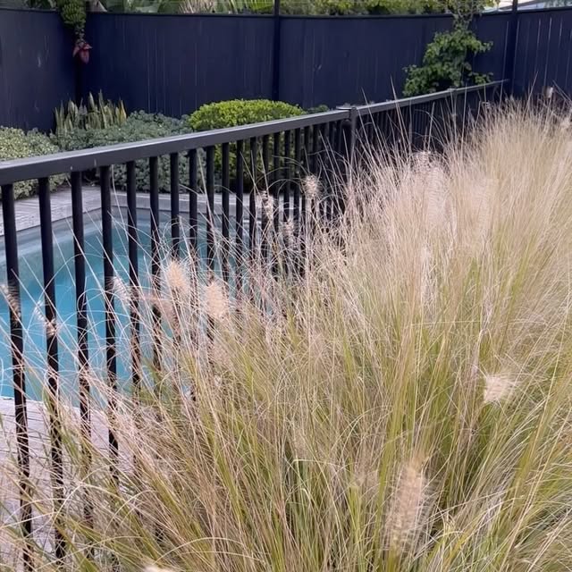 Post by gretacottage_gerringong