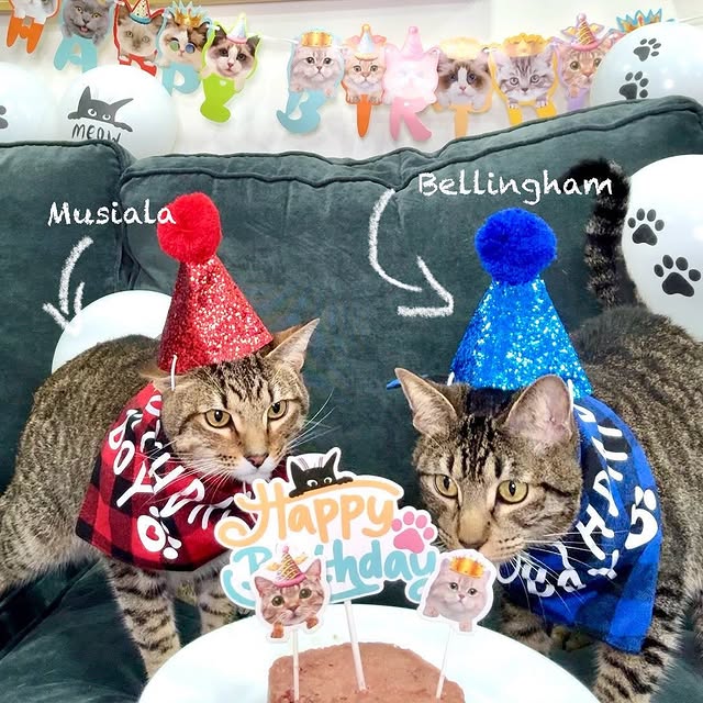 Post by alygottdiner