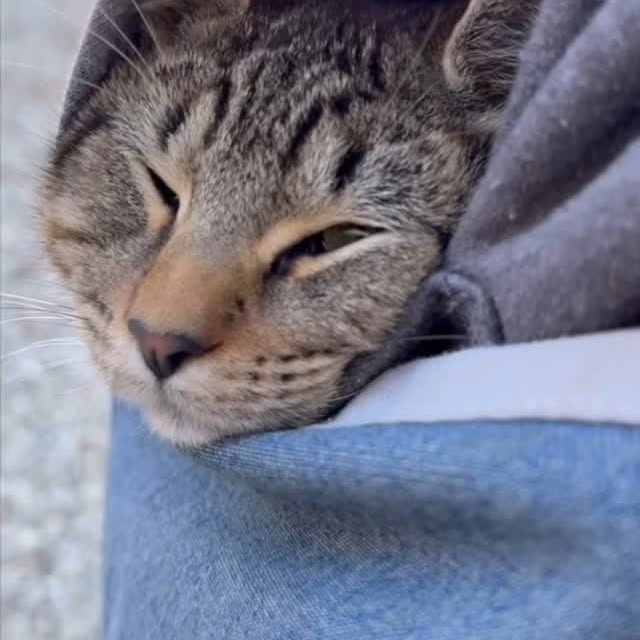 Post by tickcreekranch