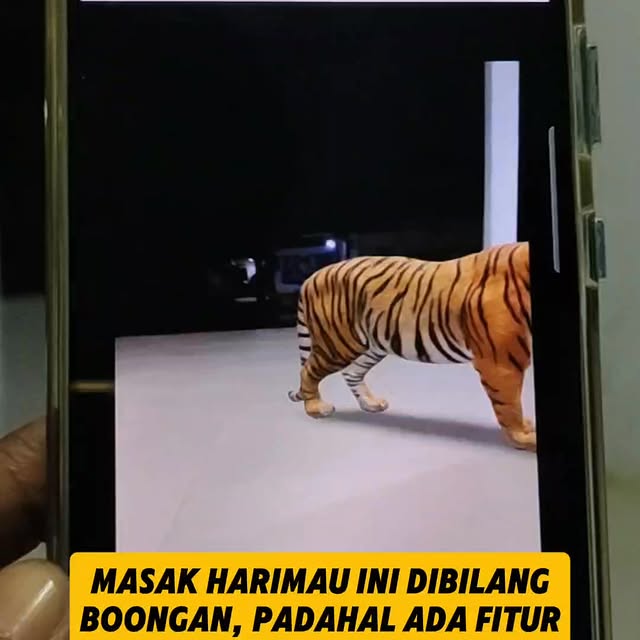 Post by ashliydienbakir