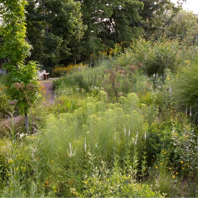 Post by kellydnorris