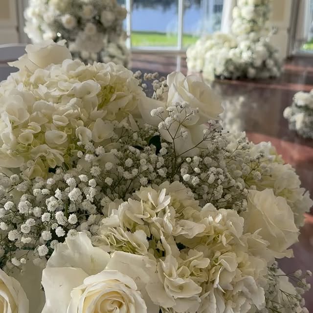 Post by christopherlauren