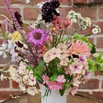 TASHA | Natur- und Bauerngarten's profile picture