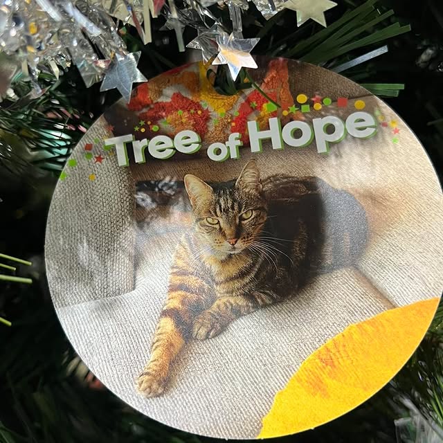 Post by sophies.legacy