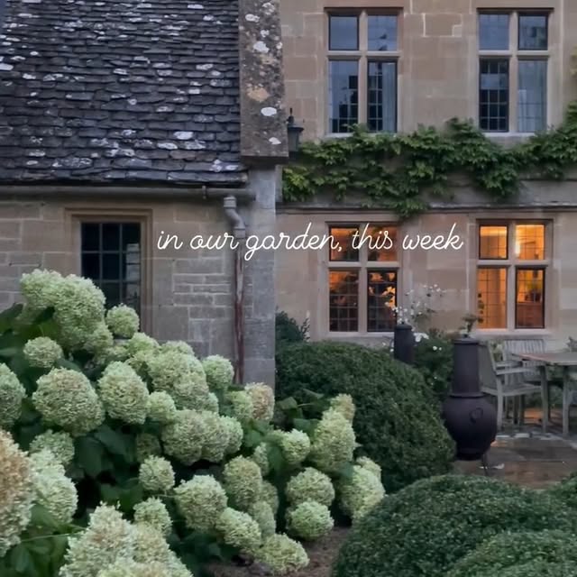 Post by hedge.garden.design.nursery