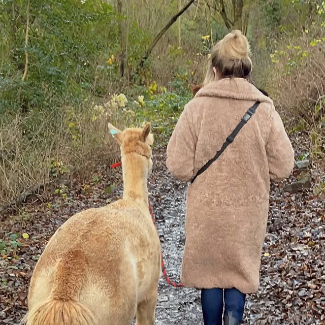 Post by our_country_life_photography