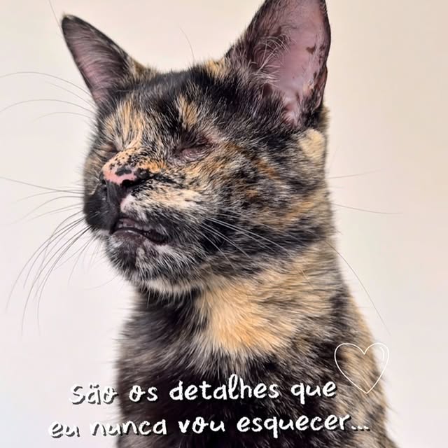 Post by vick_gatinhaespecial