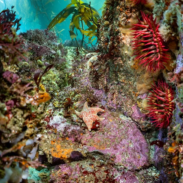 Post by underwaterpat