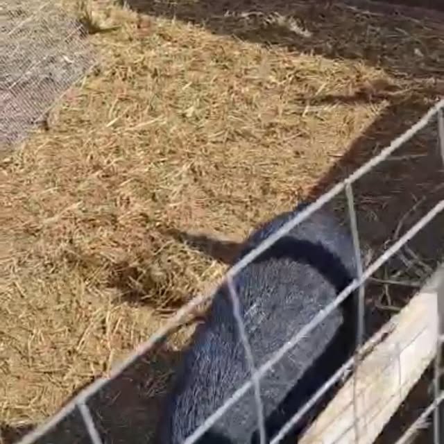 Post by policoro.village