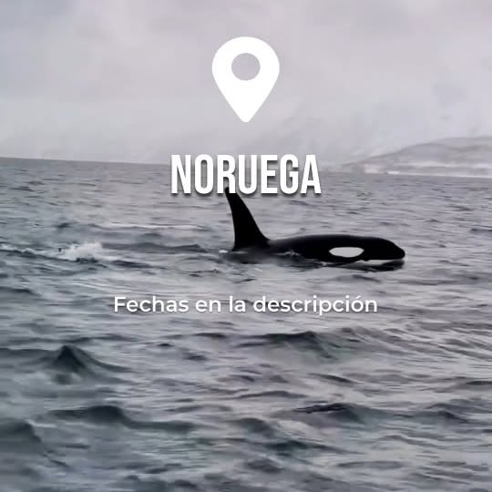 Post by ericdevicente