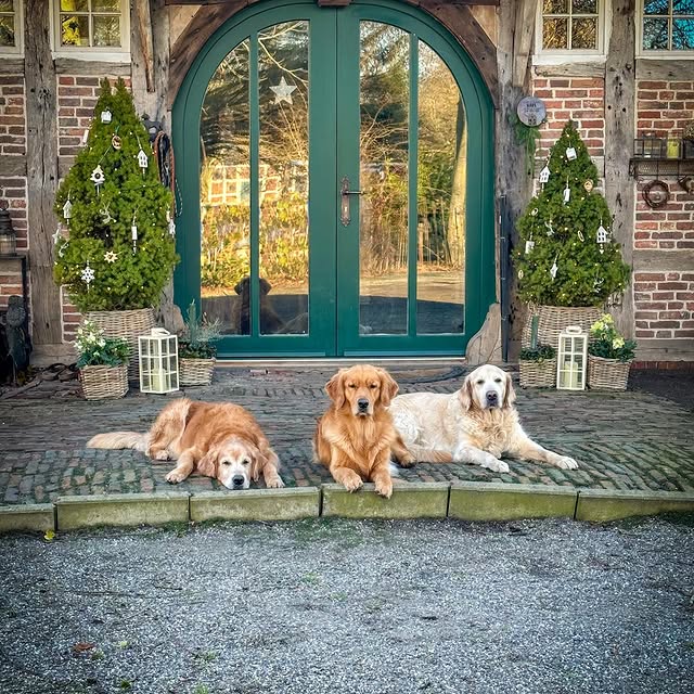 Post by diemitdemlandhaus