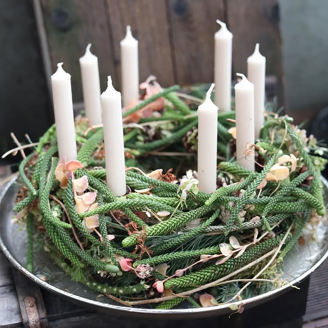 Post by brodkorbsophie