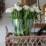 Silvia's profile picture