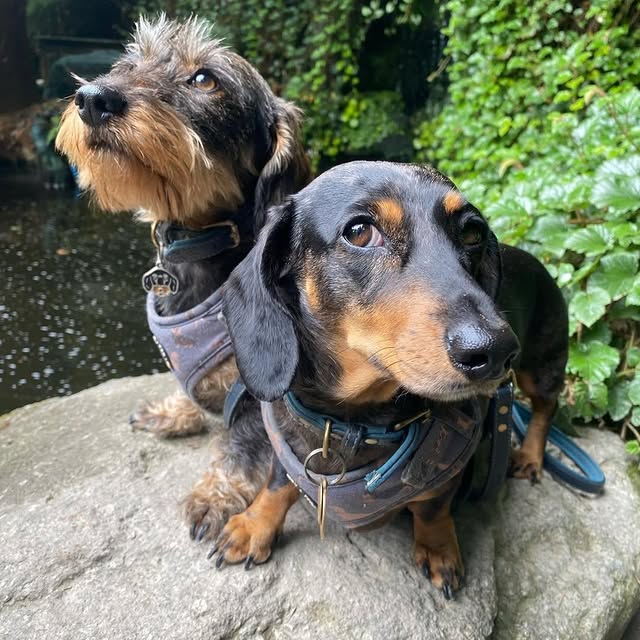 Post by trebahgardencornwall