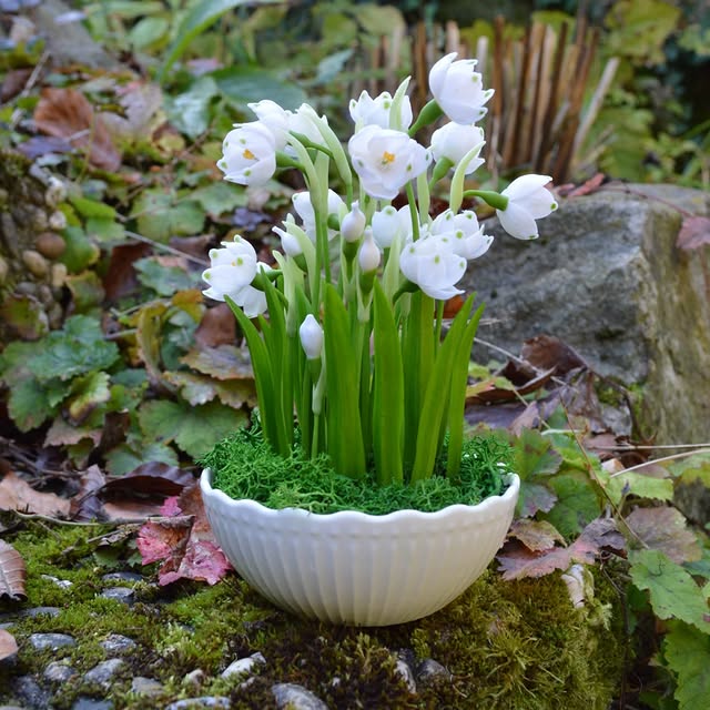 Post by marinaorlova_flowers