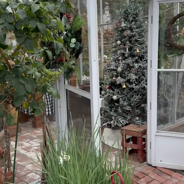 Post by rootedinthyme