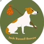 jrtrescue's profile picture
