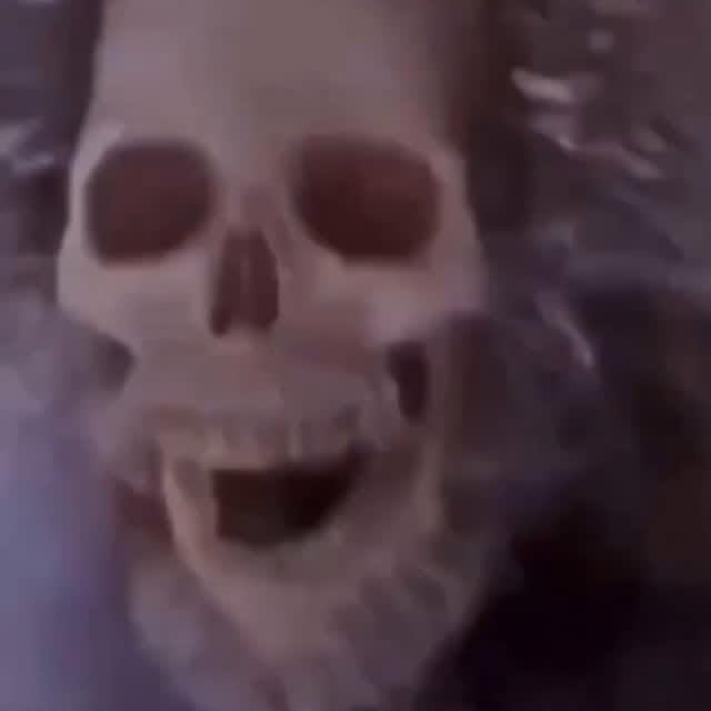 Post by linguini.official