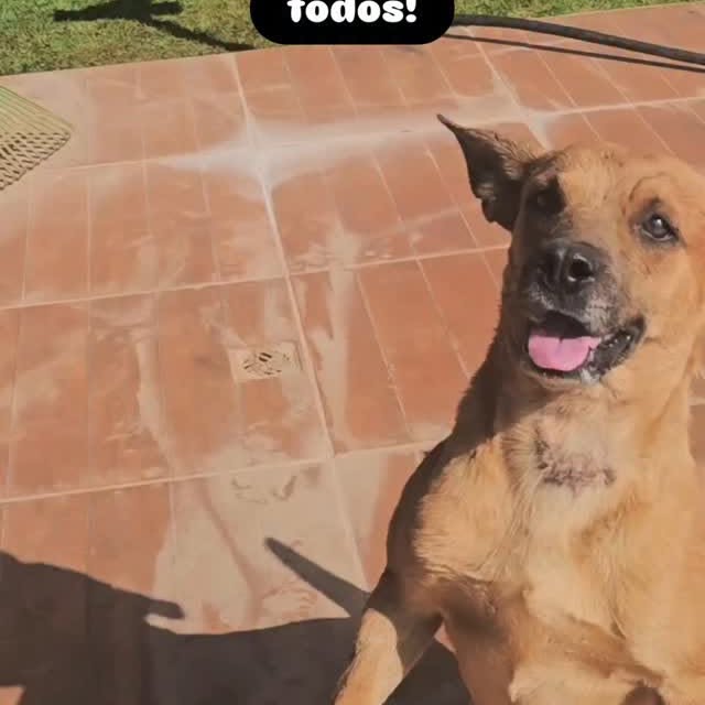 Post by zecadoagro
