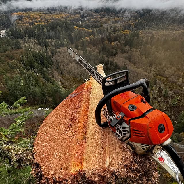 Post by benoftheforest